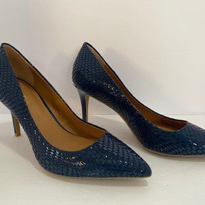 Calvin Klein Gayle Blue Pointed Toe Pumps, Size 7